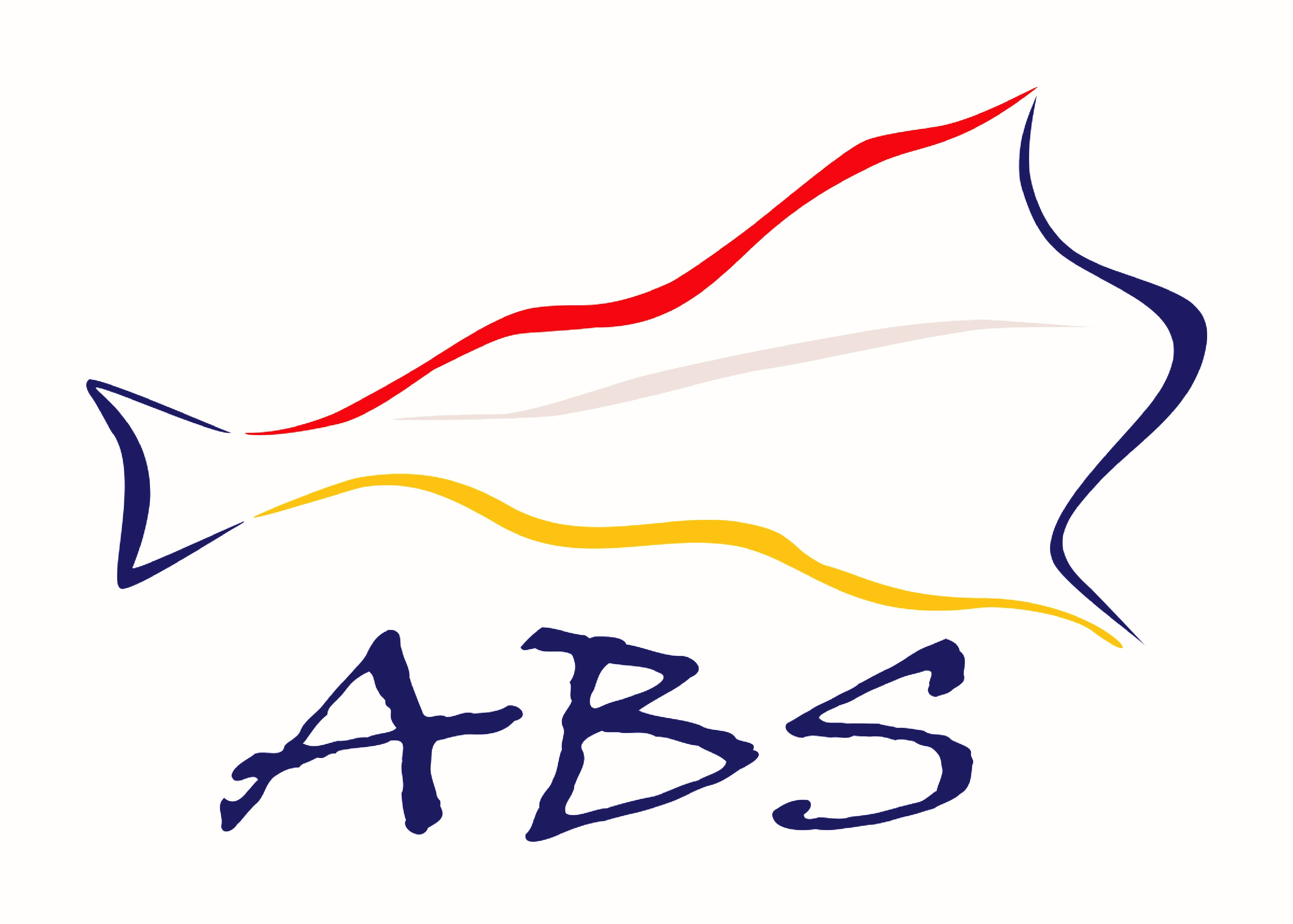 ABS ABS